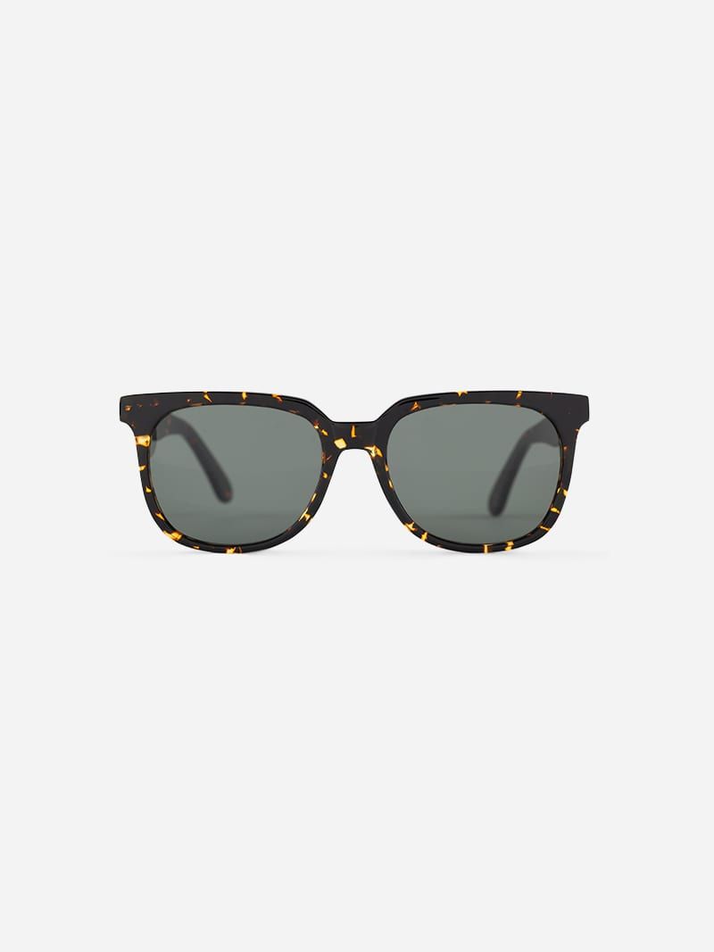 OPO Tortoise Sunglasses | Brazza