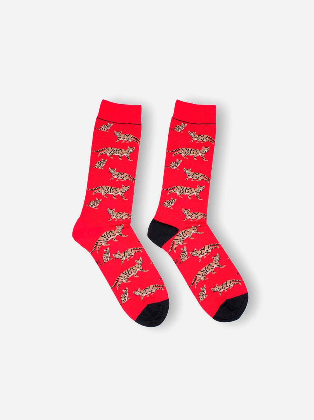 Cats Red Socks | Lolo Carolo