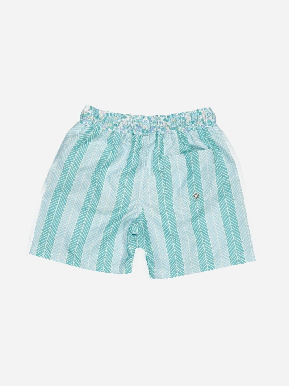 Aqua classic swim shorts