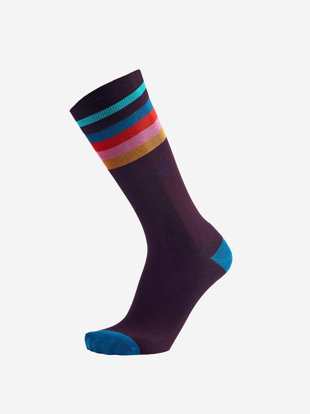 Colourful Log Burgundy Socks | Westmister