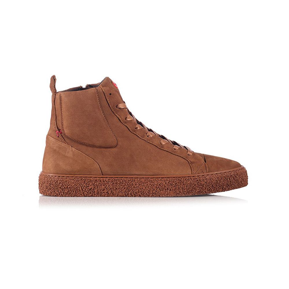 Damp 2 Truffle | Nobrand