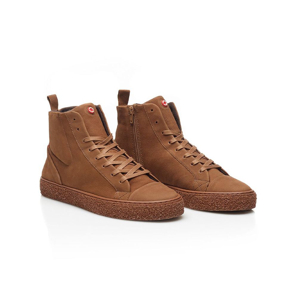 Damp 2 Truffle | Nobrand