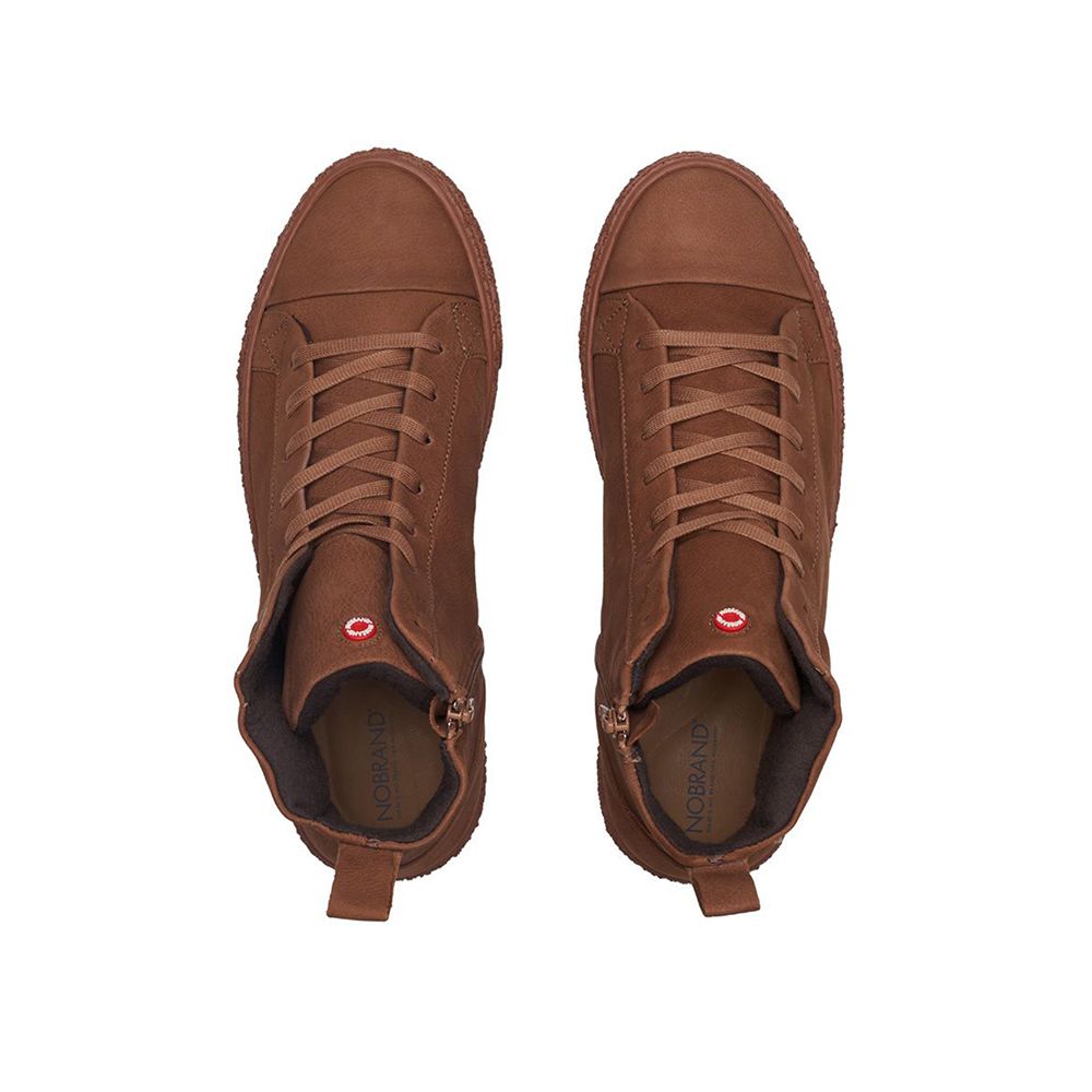 Damp 2 Truffle | Nobrand