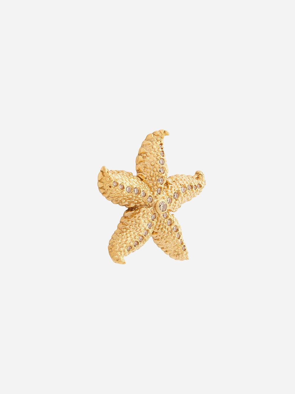 Brincos Giant Shiny Starfish