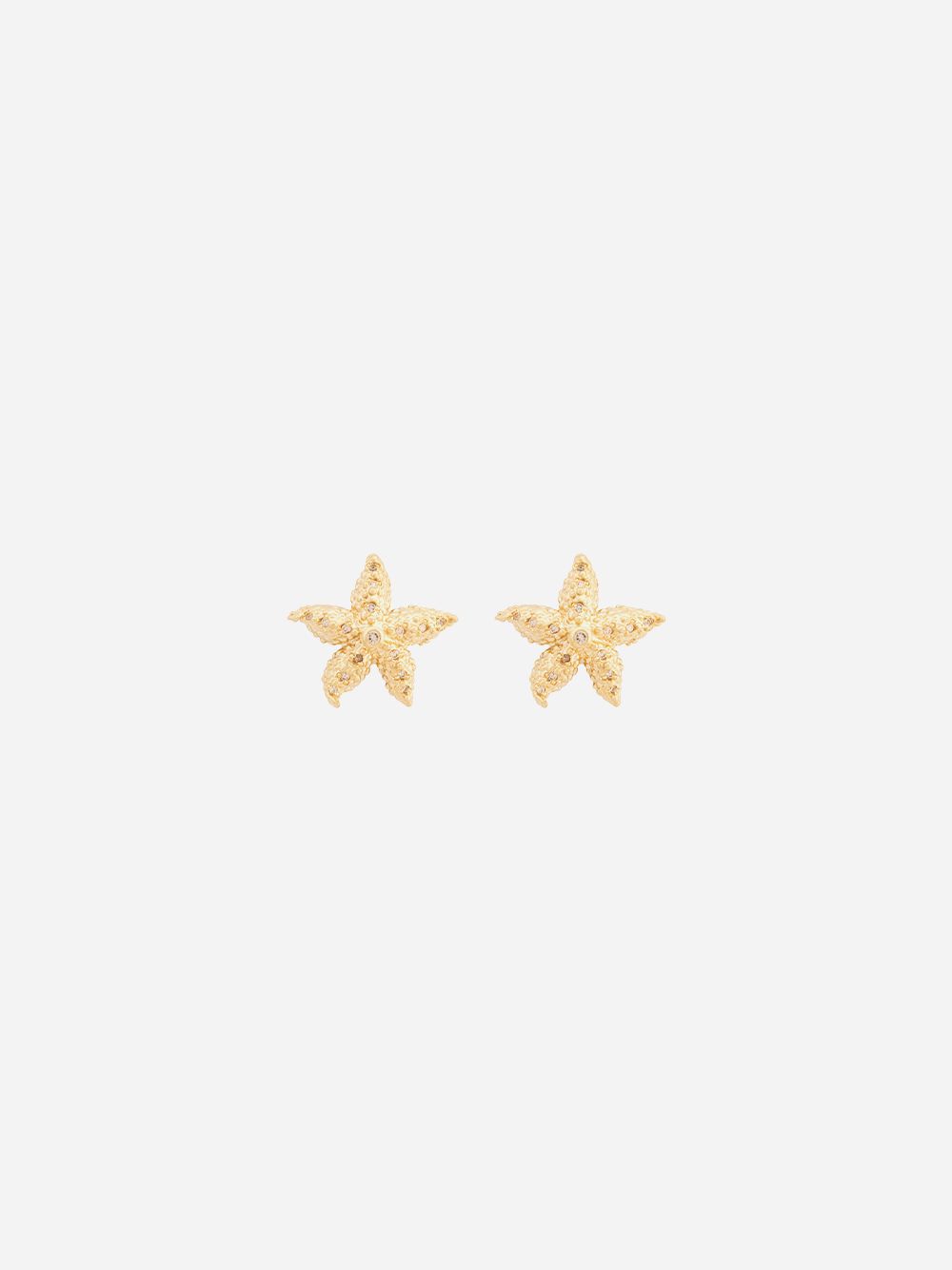 Brincos Engraved Starfish I