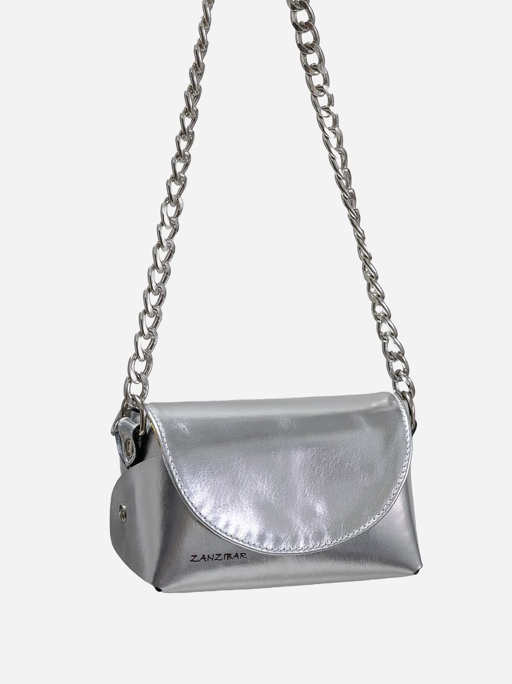 Silvery Bag