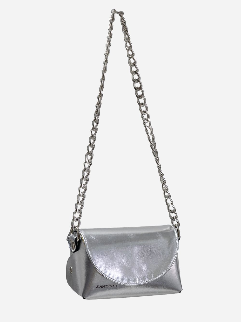 Silvery Bag