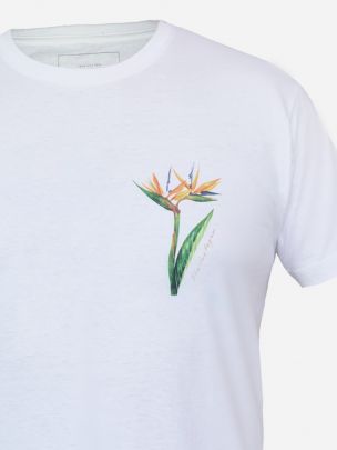 T-shirt Branca Ave do Paraíso | Wiino